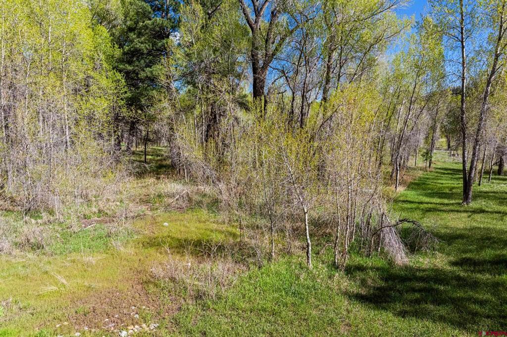 65 Pinestone Drive Property Photo 22