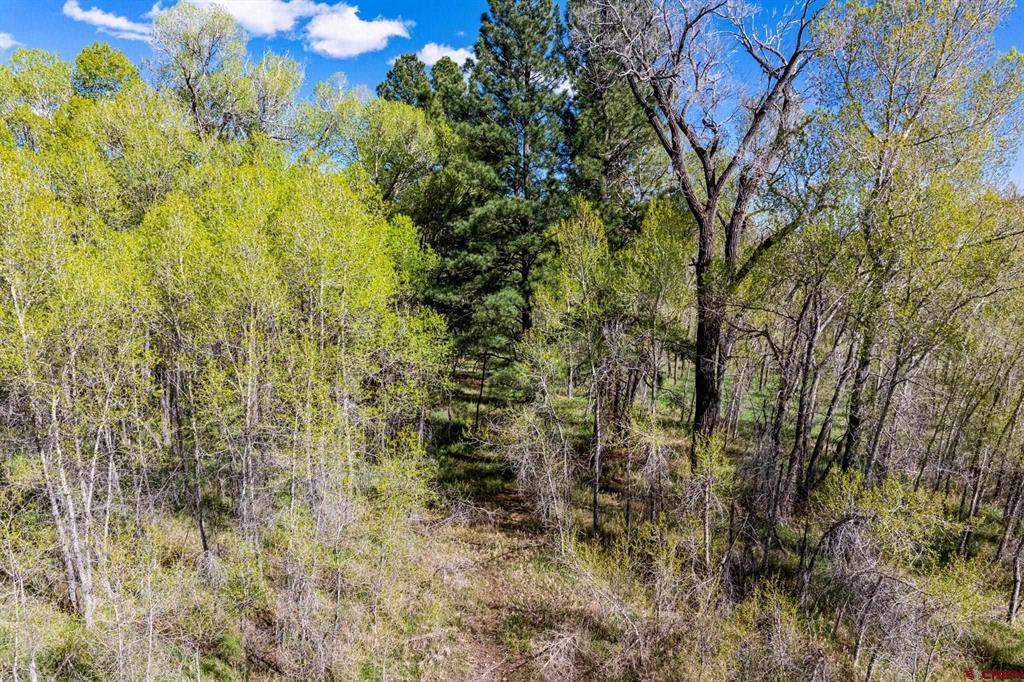 65 Pinestone Drive Property Photo 23