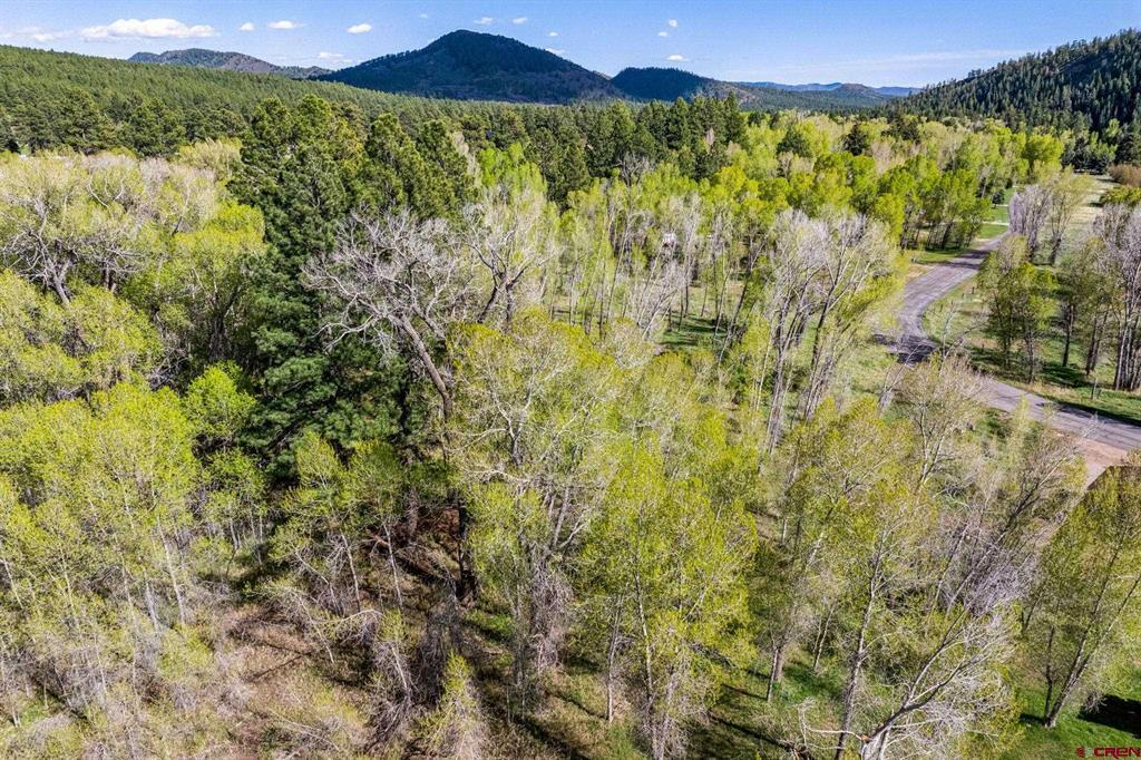 65 Pinestone Drive Property Photo 24