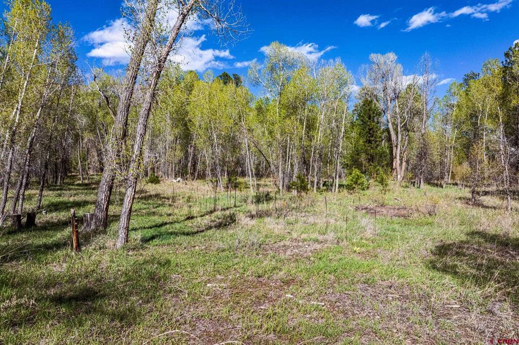 65 Pinestone Drive Property Photo 25