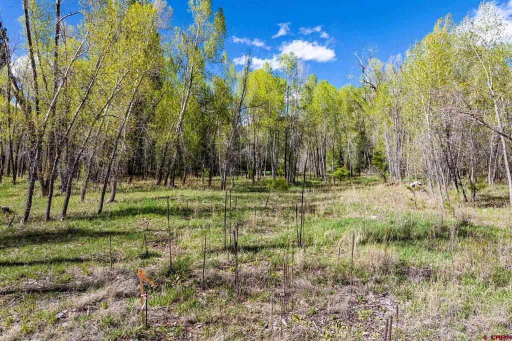 65 Pinestone Drive Property Photo 26