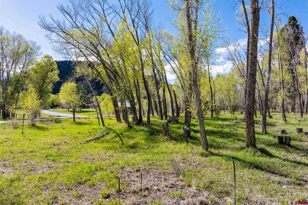 65 Pinestone Drive Property Photo 28