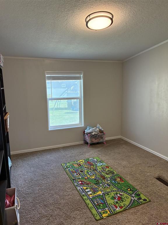 826 Peterson Street Property Photo 26