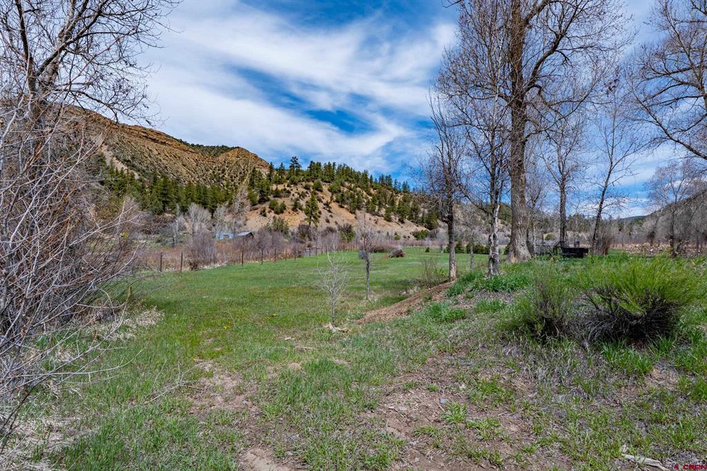 236 Evening Rain Court Property Photo 38