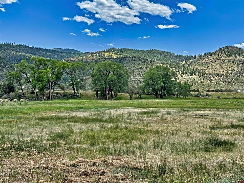 540 Comanche Trail Property Photo 8