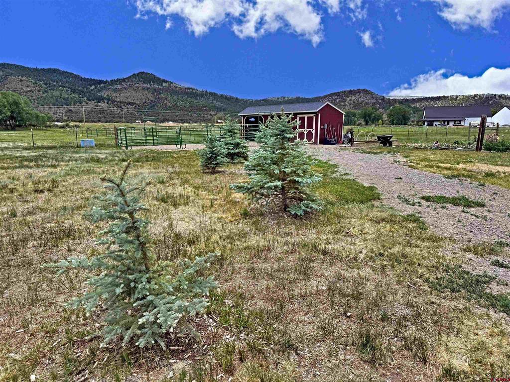 540 Comanche Trail Property Photo 19