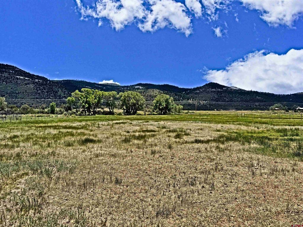 540 Comanche Trail Property Photo 23
