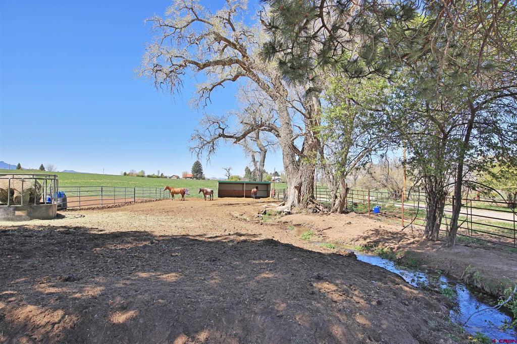 58749 Oe Road Property Photo 34