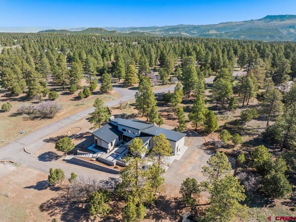 176 Bear Cub Drive Property Photo 33
