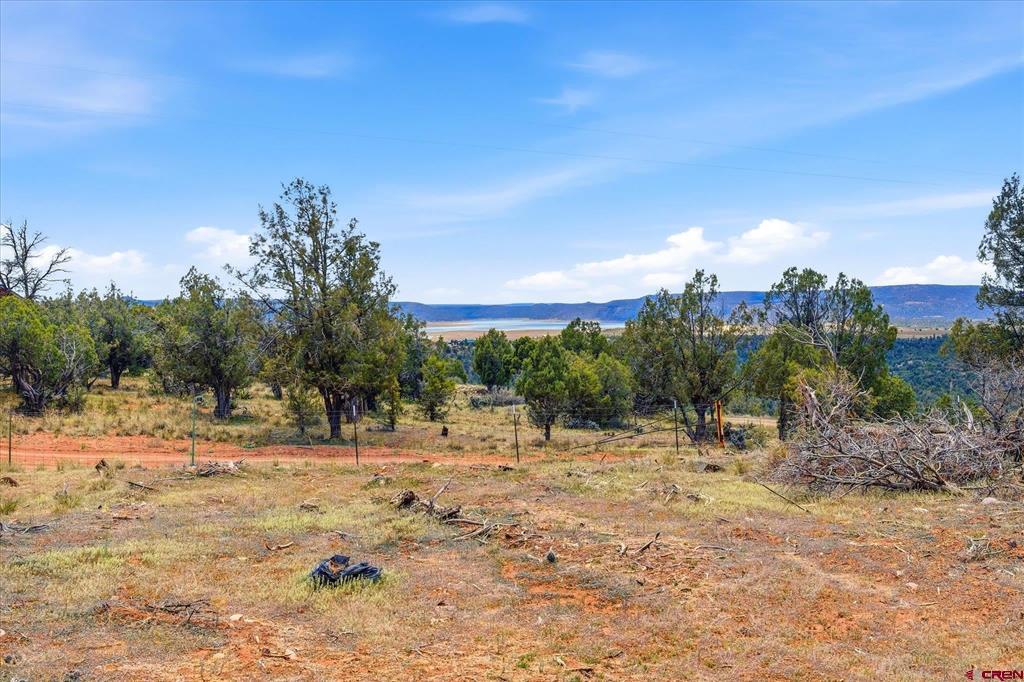144 Pinon Hills Circle Property Photo 10