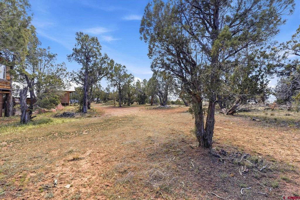 144 Pinon Hills Circle Property Photo 12