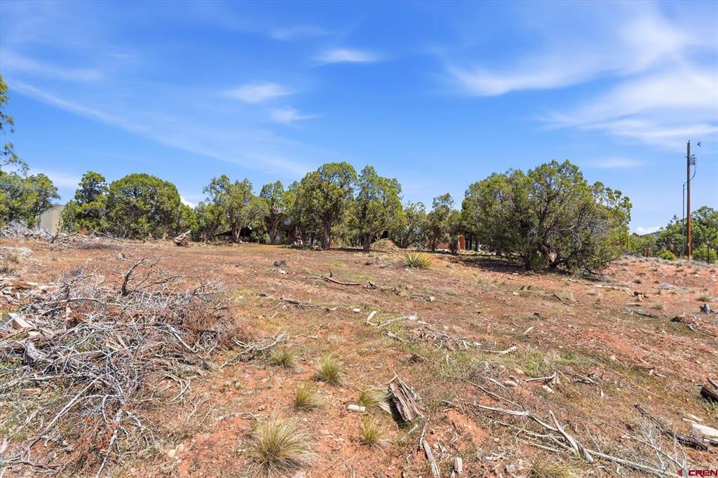 144 Pinon Hills Circle Property Photo 13
