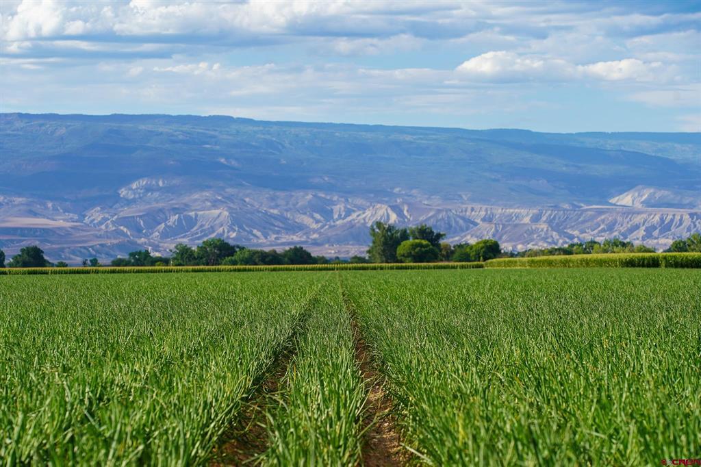 Tbd Banner Road Property Photo 4