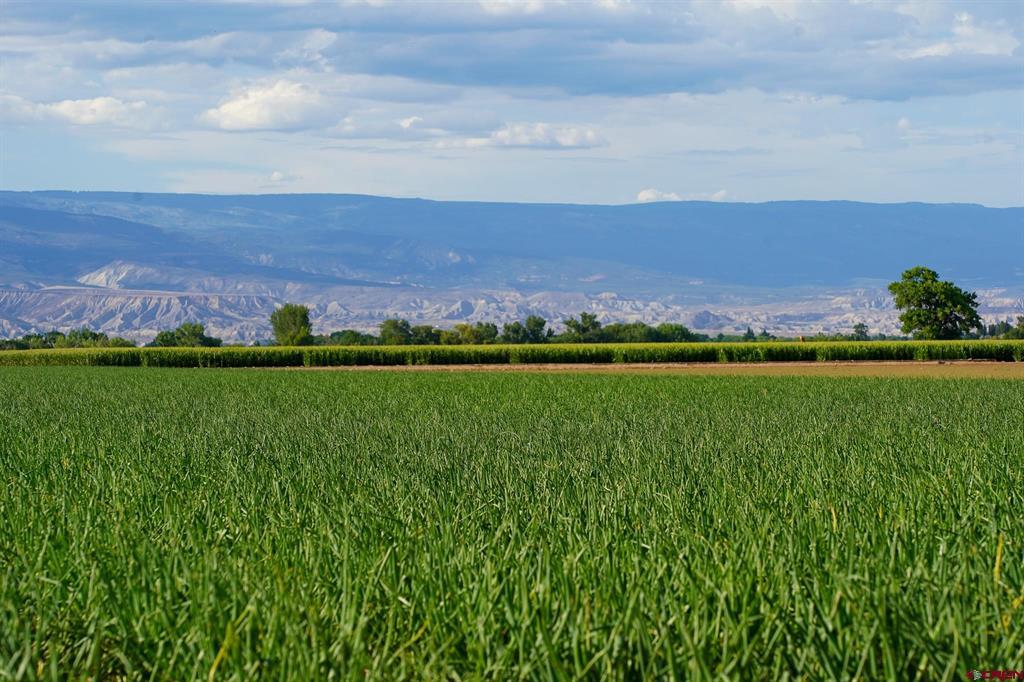 Tbd Banner Road Property Photo 6