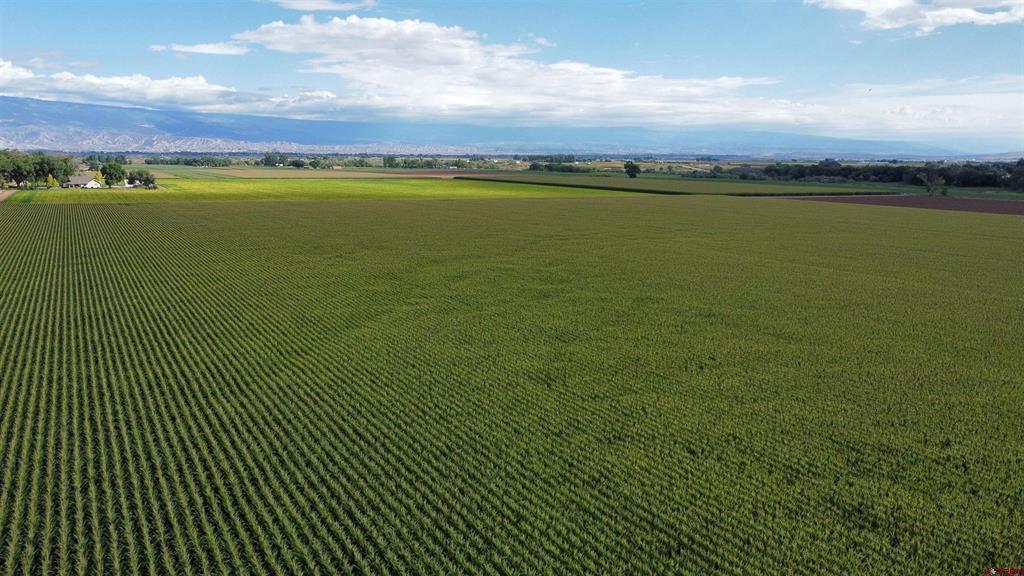 Tbd Banner Road Property Photo 11