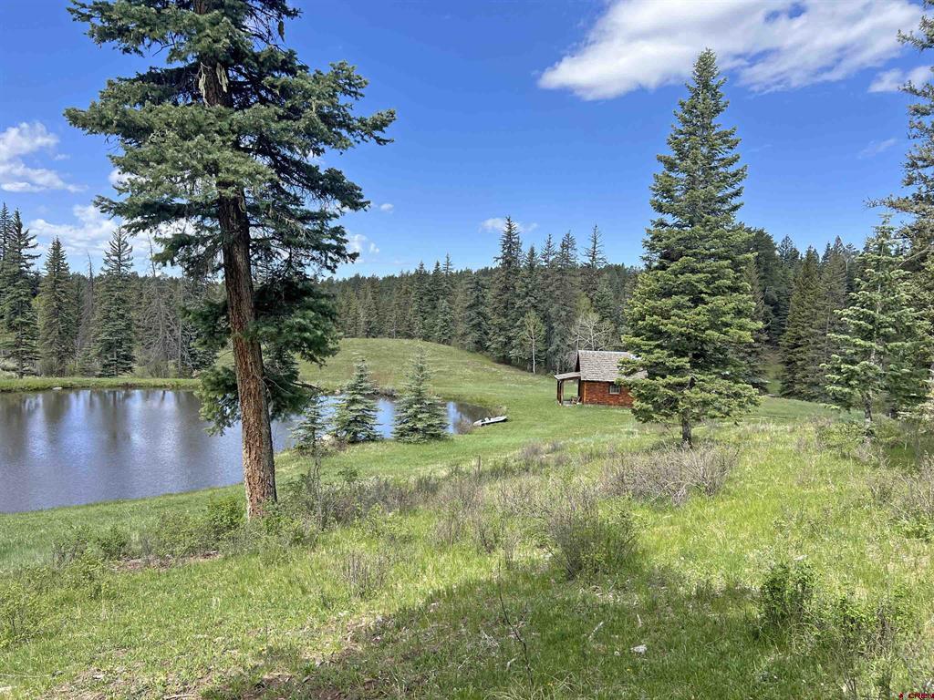 2368a Needles View Place Property Photo 5