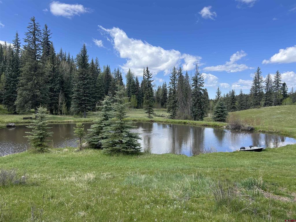 2368a Needles View Place Property Photo 6
