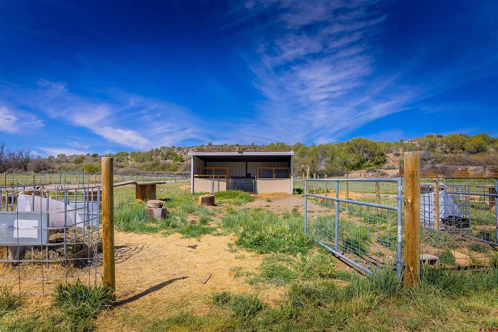 62 Road 1115 Property Photo 42