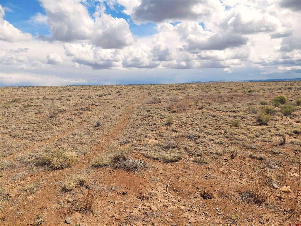 Tbd County Road Cc .25 Property Photo 13
