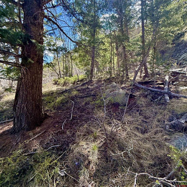 Tdb Lochleven Lane Property Photo 12
