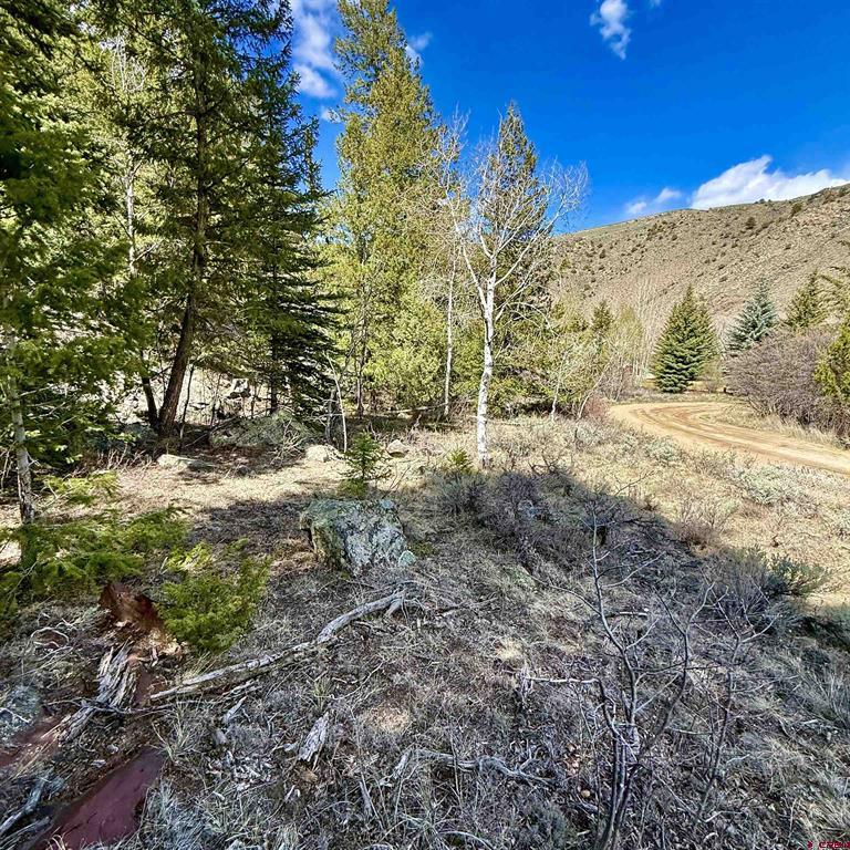 Tdb Lochleven Lane Property Photo 14