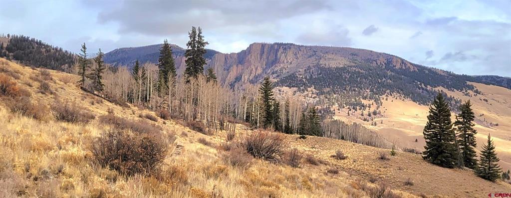 Tbd County Road 504 Bachelor Loop Property Photo 18
