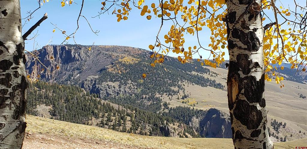 Tbd County Road 504 Bachelor Loop Property Photo 26