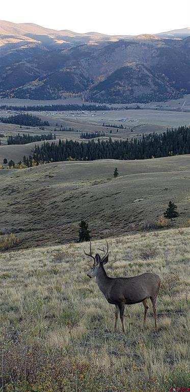 Tbd County Road 504 Bachelor Loop Property Photo 29