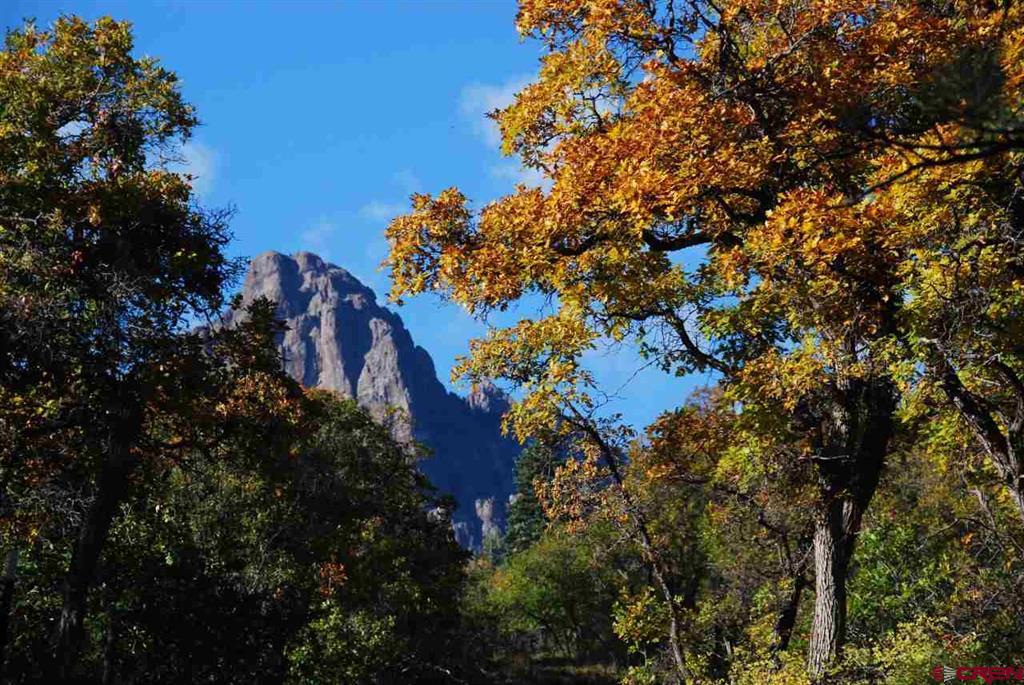 1100 Navajo Peak Place Property Photo 31