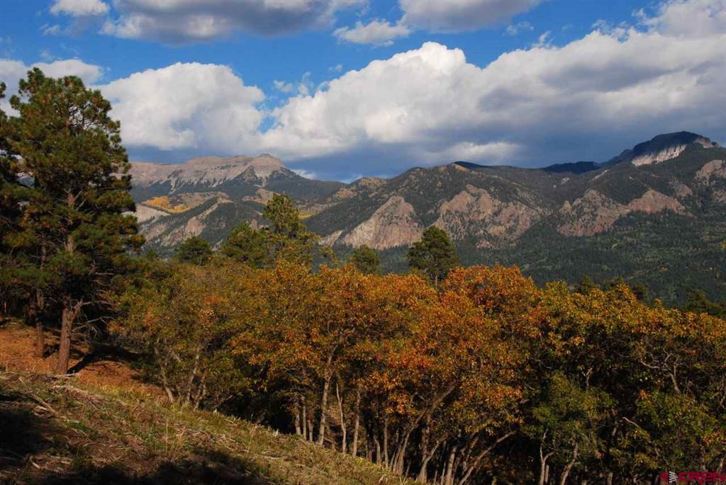 1100 Navajo Peak Place Property Photo 33