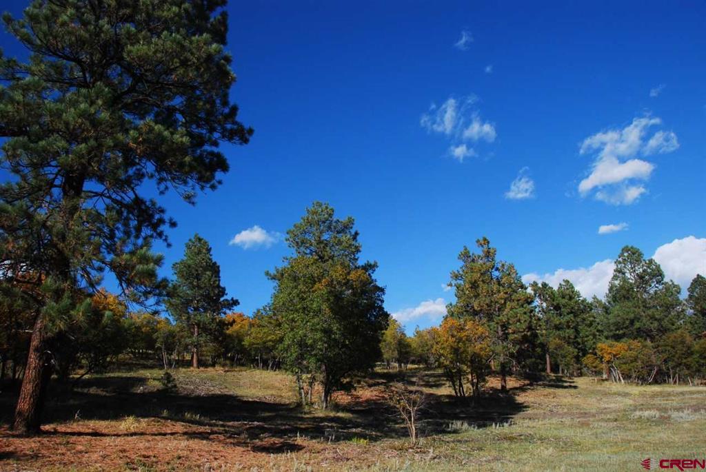 1100 Navajo Peak Place Property Photo 34