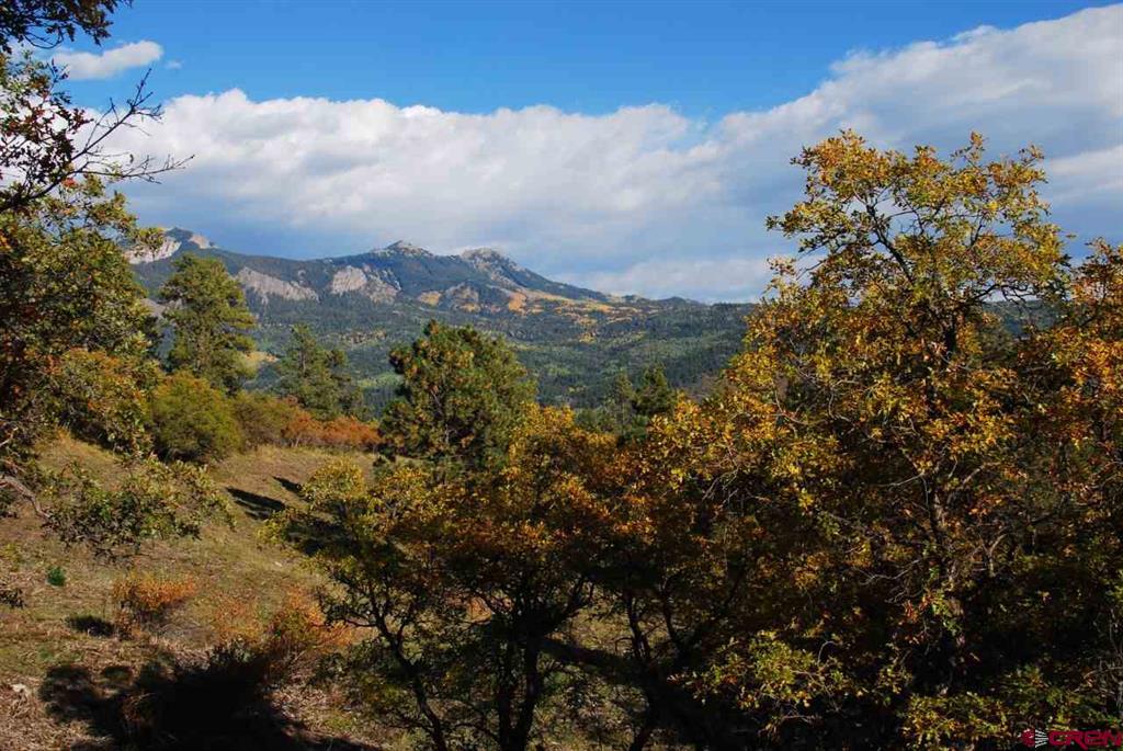 1100 Navajo Peak Place Property Photo 35