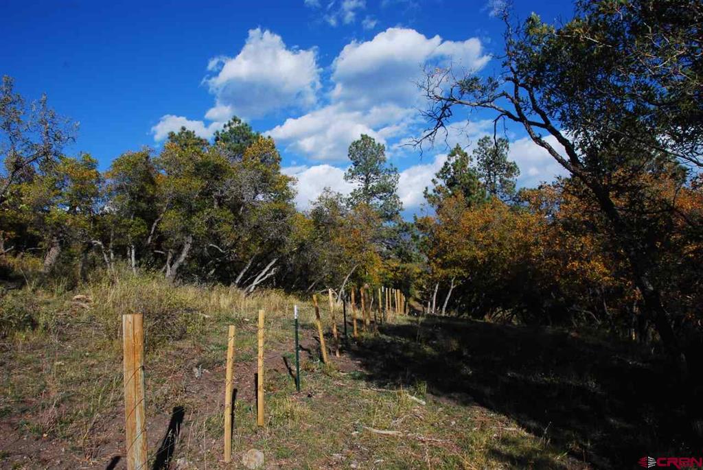 1100 Navajo Peak Place Property Photo 43