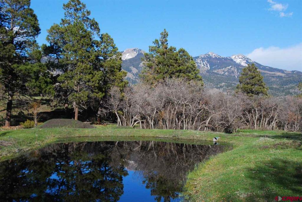 1100 Navajo Peak Place Property Photo 45