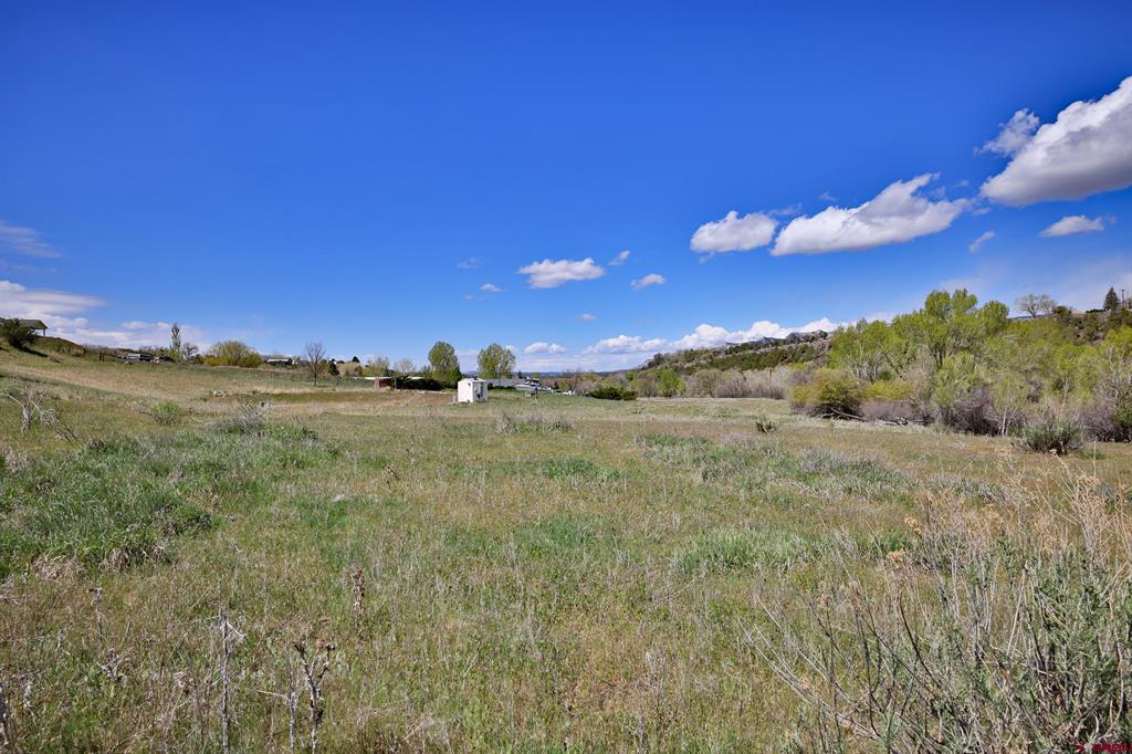 1006 Spring Street Property Photo 16
