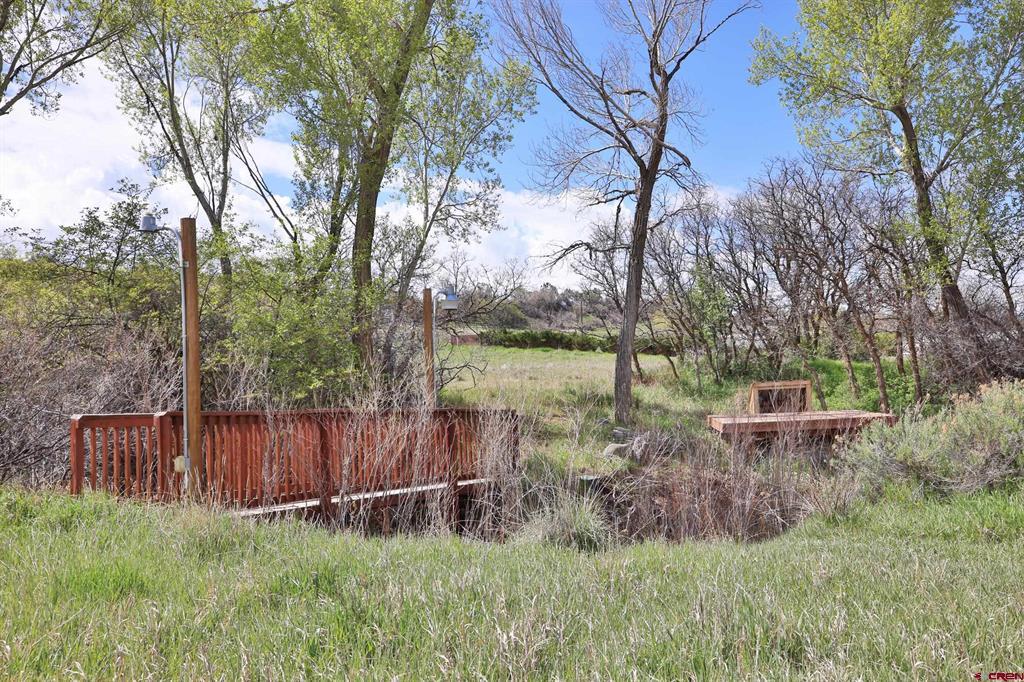 1006 Spring Street Property Photo 19