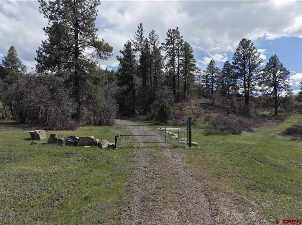 1445c County Road 326