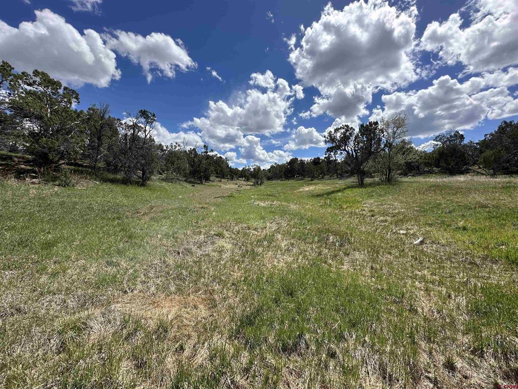 37838 Polson Road Property Photo 4