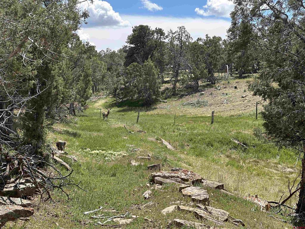 37838 Polson Road Property Photo 22
