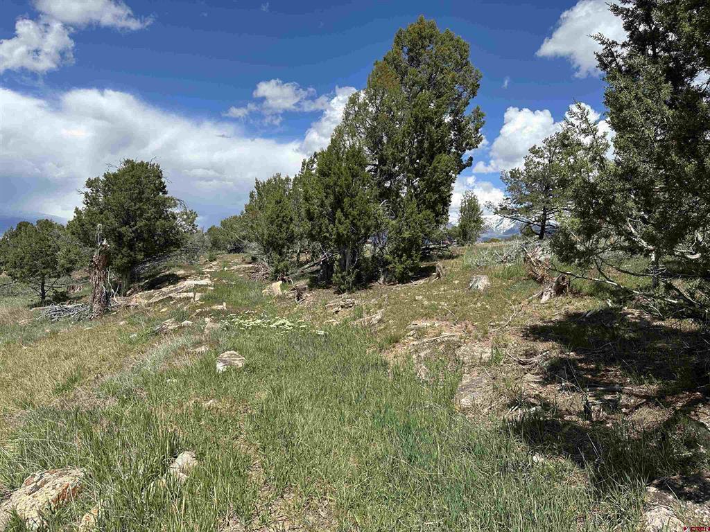 37838 Polson Road Property Photo 23