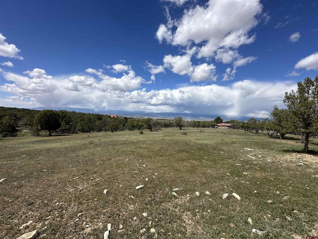 37838 Polson Road Property Photo 25
