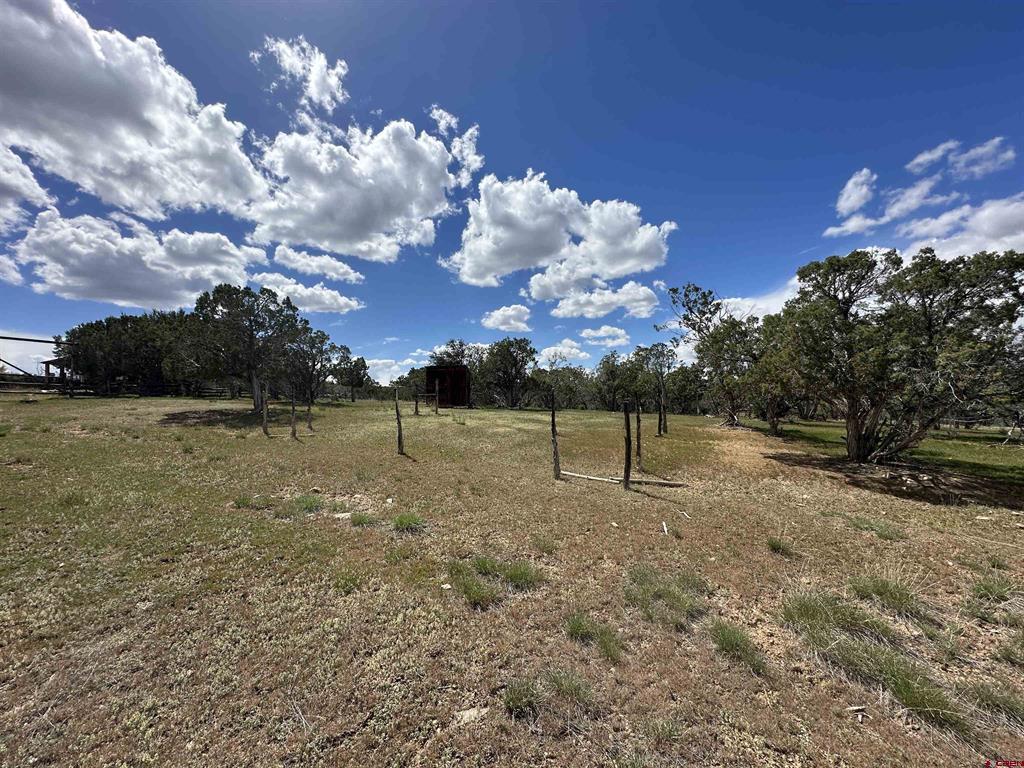 37838 Polson Road Property Photo 27
