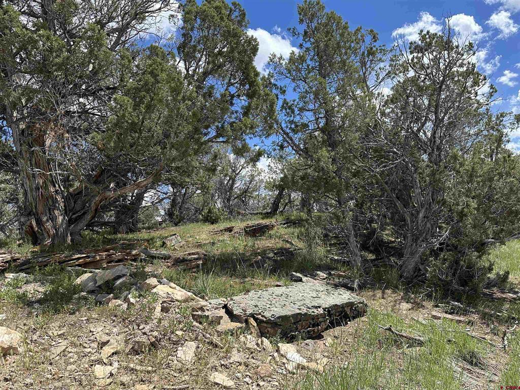 37838 Polson Road Property Photo 28