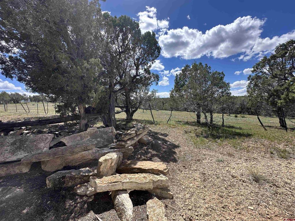 37838 Polson Road Property Photo 32