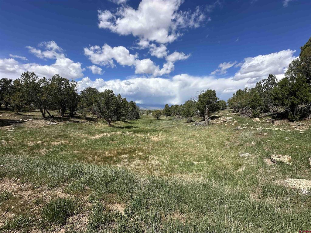 37838 Polson Road Property Photo 41