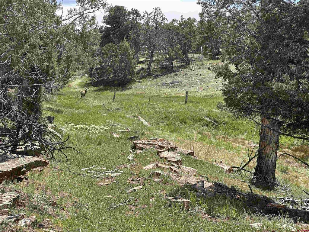 37838 Polson Road Property Photo 45