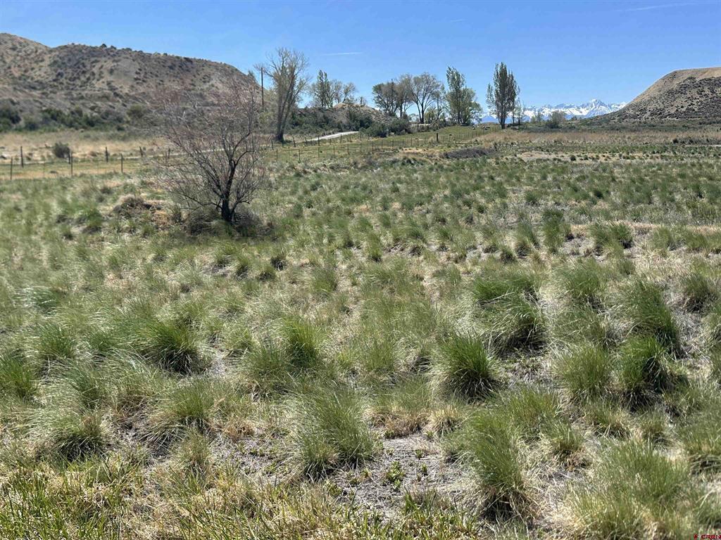 Tbd E Oak Grove Road Property Photo 4