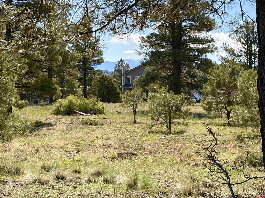 1052 Trails Boulevard Property Photo 1