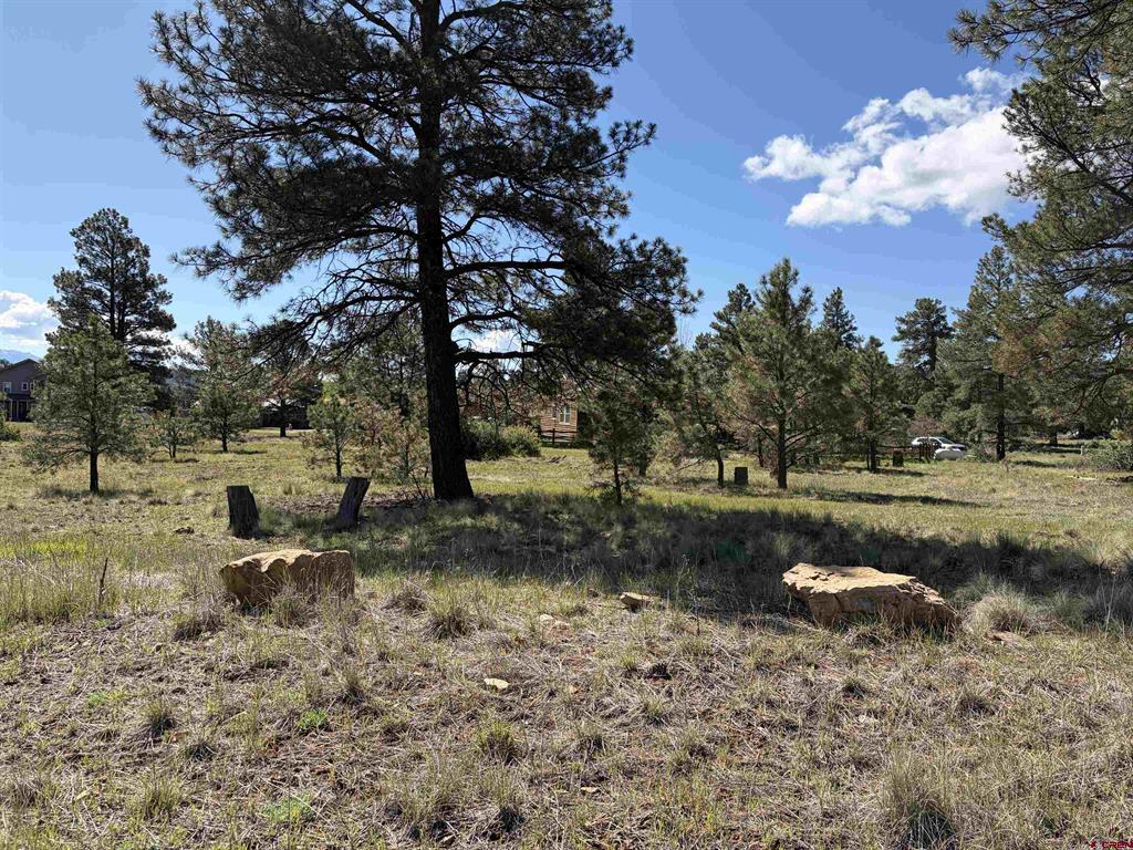 1052 Trails Boulevard Property Photo 2