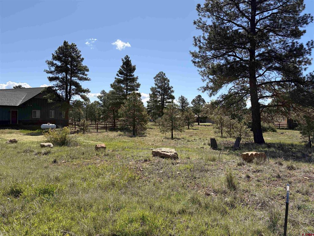 1052 Trails Boulevard Property Photo 3
